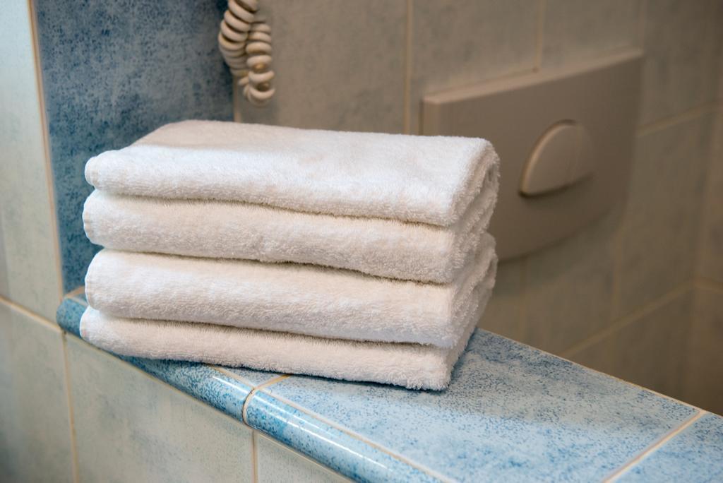 Wellness Hotel Frymburk Room photo