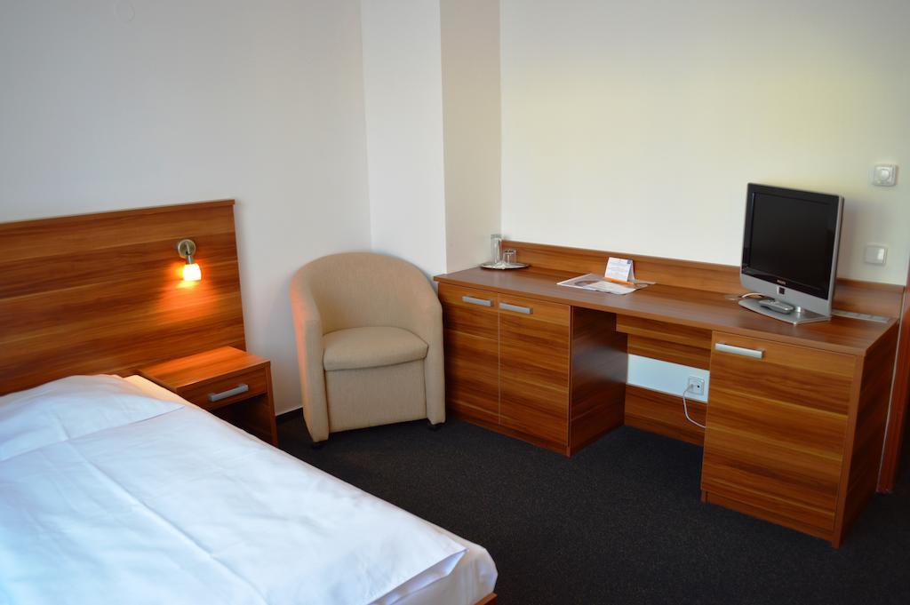 Wellness Hotel Frymburk Room photo